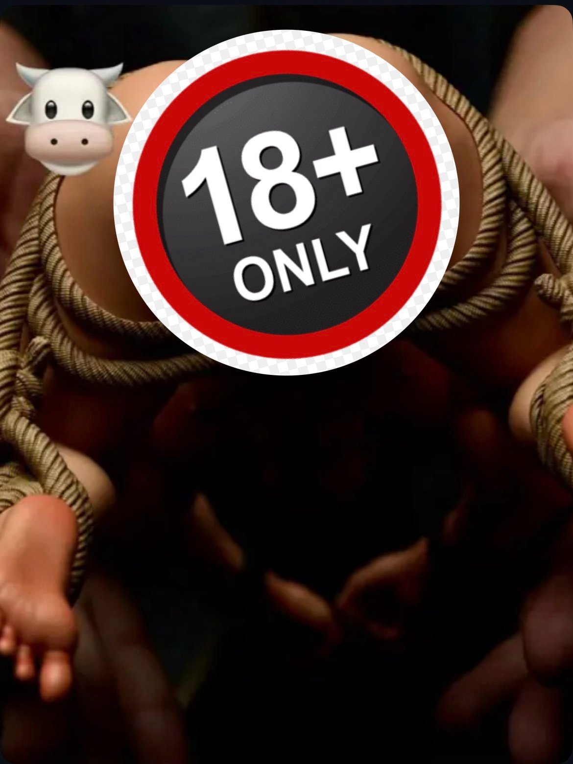 BDSM studio - Kaiju No. 8 - Another Life 2.0 Kafka Hibino 1/6 - Image 2