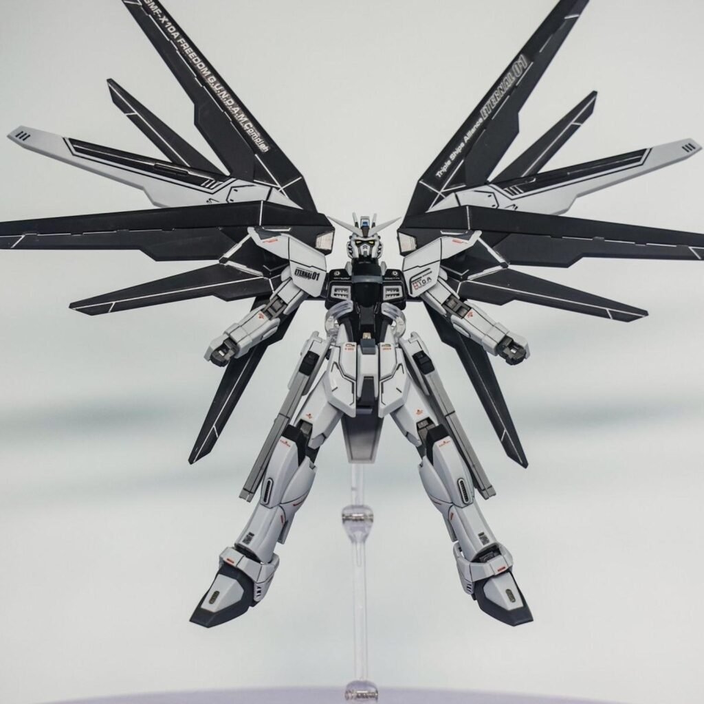 JMS - Freedom Deactive - HG 1/144