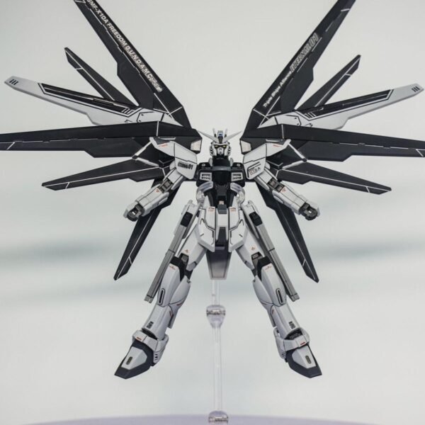 JMS - Freedom Deactive - HG 1/144