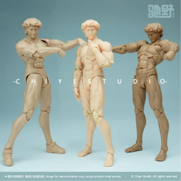 Chi Ye Studio - David - Male Articulated Body - 1/12